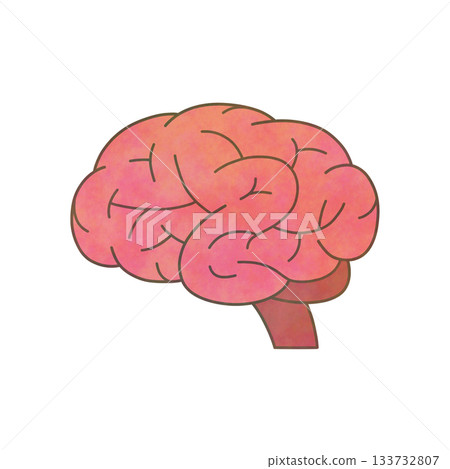 水彩大腦插圖 水彩大腦插圖 133732807