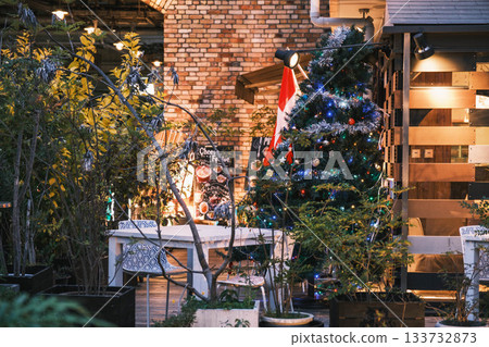 [Kobe Meriken Park] Beautiful scenery with Christmas illuminations 133732873