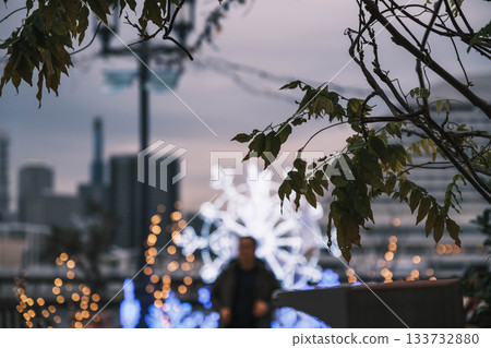 【神戶美利肯公園】聖誕燈飾下的美景 【神戶美利肯公園】聖誕燈飾下的美景 133732880