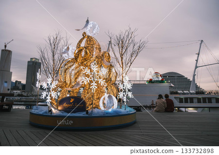 【神戶美利肯公園】聖誕燈飾下的美景 【神戶美利肯公園】聖誕燈飾下的美景 133732898
