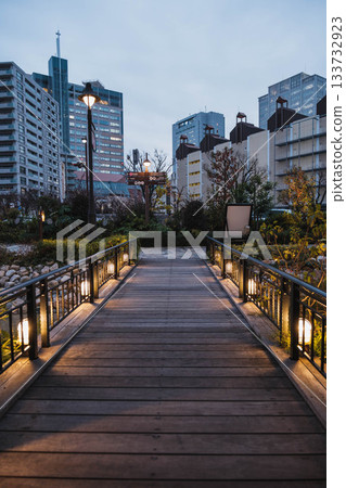 [Kobe Meriken Park] Beautiful scenery with Christmas illuminations 133732923