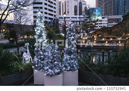 [Kobe Meriken Park] Beautiful scenery with Christmas illuminations 133732941