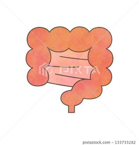 Watercolor intestine illustration 133733282