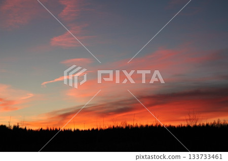 Pink, Purple, Sunset Sky Background in the evening sun down with colorful sunrise dramatic red, orange, yellow golden sunny summer sun light, Horizon bright nurture sunlight shiny Dusk sky clouds Pink, Purple, Sunset Sky Background in the evening sun down with colorful sunrise dramatic red, orange, yellow golden sunny summer sun light, Horizon bright nurture sunlight shiny Dusk sky clouds 133733461