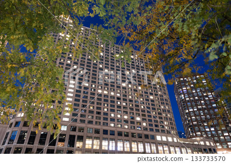 Night city of Chicago. Business city. Night cityscape of Chicago skyscraper building. Chicago architecture of skyscraper. City night illuminated building. Skyscraper cityscape. Urban charm Night city of Chicago. Business city. Night cityscape of Chicago skyscraper building. Chicago architecture of skyscraper. City night illuminated building. Skyscraper cityscape. Urban charm 133733570