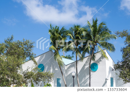 Building. Residential building architecture. Architectural exterior. House exterior fragment. Modern apartment building. Apartment building with balconies and palm trees. Southern architecture Building. Residential building architecture. Architectural exterior. House exterior fragment. Modern apartment building. Apartment building with balconies and palm trees. Southern architecture 133733604