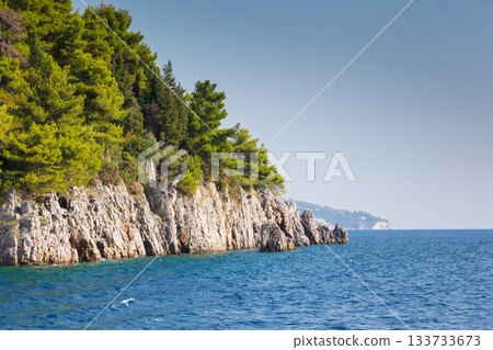 sea sea 133733673