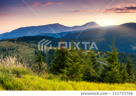 mountain landscape mountain landscape 133733788