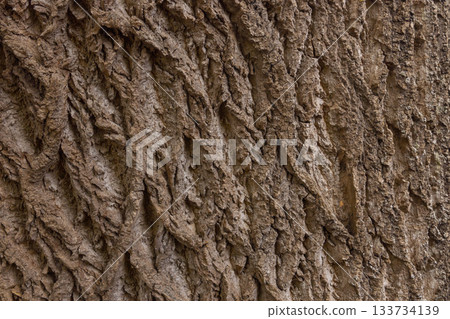 Olive tree bark pinaster trunk symbol. Texture made of olive tree bark . Beautiful olive tree bark trunk background. Greece, Conceptual image. Peaceful nature. Olive tree bark pinaster trunk symbol. Texture made of olive tree bark . Beautiful olive tree bark trunk background. Greece, Conceptual image. Peaceful nature. 133734139