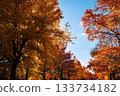 Suita City's Three-Colored Road in Autumn 133734182