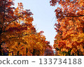 Suita City's Three-Colored Road in Autumn 133734188