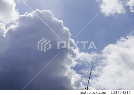 蘆屋空軍基地航展當天的天空 133734815