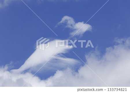 有趣的形狀的雲 133734821