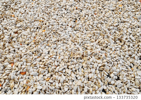 Photo of pumpkin seeds during drying. 133735320