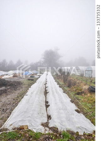 An organic vegetable farm on a foggy day. 133735332
