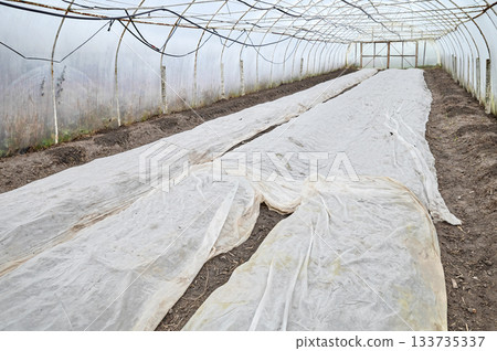 Interior of an organic vegetable greenhouse farm with agrotextile covers. Interior of an organic vegetable greenhouse farm with agrotextile covers. 133735337