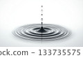Water Drop Splash with Ripples on White Background 133735575