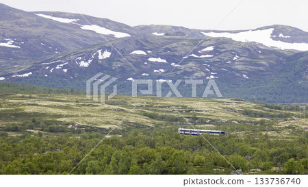 Train travels through the scenic landscapes of DovrefjellSunndalsfjella National Park in Norway 133736740