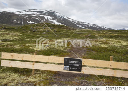 Closed hiking path due to wild reindeer crossing in Dovrefjell Sunndalsfjella National Park, Norway during summer Closed hiking path due to wild reindeer crossing in Dovrefjell Sunndalsfjella National Park, Norway during summer 133736744