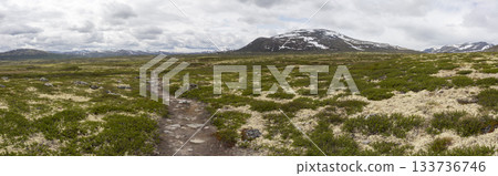 Explore the musk ox trail route at DovrefjellSunndalsfjella National Park in Norway during a cloudy day Explore the musk ox trail route at DovrefjellSunndalsfjella National Park in Norway during a cloudy day 133736746