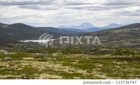 View of Dovrefjell Sunndalsfjella National Park with mountains, lake, and lush vegetation on a cloudy day 133736747