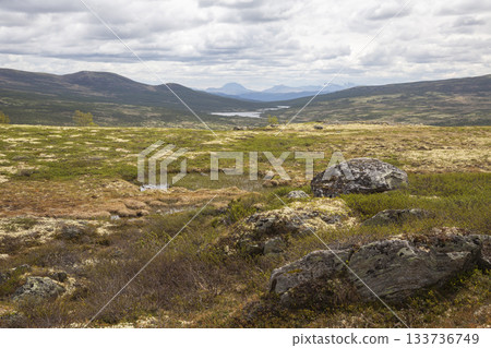 Explore the stunning landscapes of Dovrefjell Sunndalsfjella National Park in Norway during a cloudy day Explore the stunning landscapes of Dovrefjell Sunndalsfjella National Park in Norway during a cloudy day 133736749
