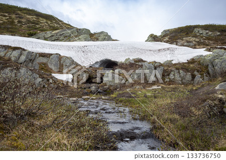 Exploring the dramatic landscape of DovrefjellSunndalsfjella National Park in Norway with snow and rocky terrain Exploring the dramatic landscape of DovrefjellSunndalsfjella National Park in Norway with snow and rocky terrain 133736750