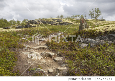 Musk ox trail route in Dovrefjell Sunndalsfjella National Park showcases rough terrain and stunning natural beauty 133736755