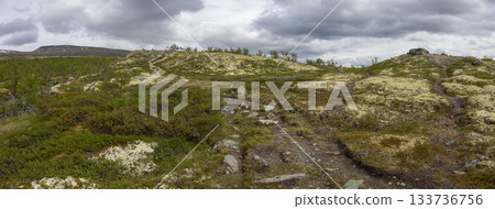 Musk ox trail routes weaving through Dovrefjell Sunndalsfjella National Park in Norway during cloudy weather Musk ox trail routes weaving through Dovrefjell Sunndalsfjella National Park in Norway during cloudy weather 133736756
