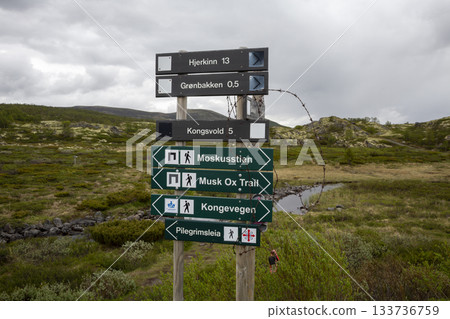 Musk ox trail sign offers guidance in Dovrefjell Sunndalsfjella National Park in Norway Musk ox trail sign offers guidance in Dovrefjell Sunndalsfjella National Park in Norway 133736759