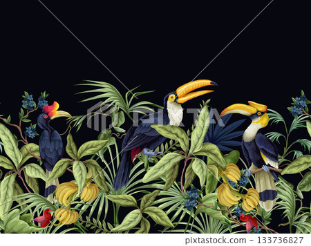 Tropic birds vector border with exotic hornbills tropical foliage botanical jungle decorative design illustration 133736827