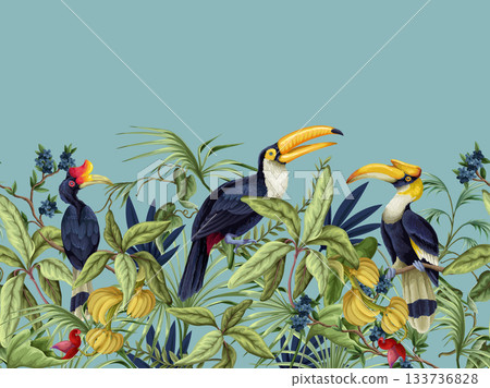 Tropic birds vector border with exotic hornbills tropical foliage botanical jungle decorative design illustration 133736828