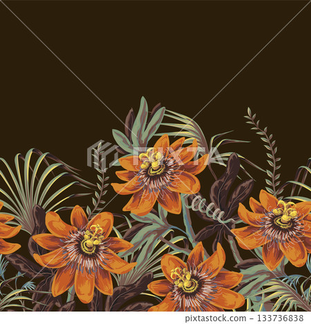 Passiflora tropical flower vector border with exotic leaves and jungle plants Passiflora tropical flower vector border with exotic leaves and jungle plants 133736838
