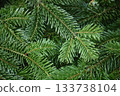 closeup of fir branches for a christmas decoration 133738104