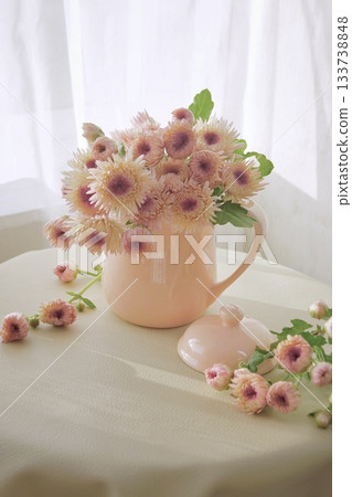 Pink chrysanthemums on the windowsill Pink chrysanthemums on the windowsill 133738848