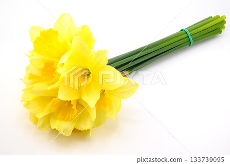 bouquet of yellow daffodils close-up, isolated on white background bouquet of yellow daffodils close-up, isolated on white background 133739095