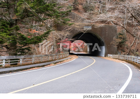 秋日隧道景觀 133739711