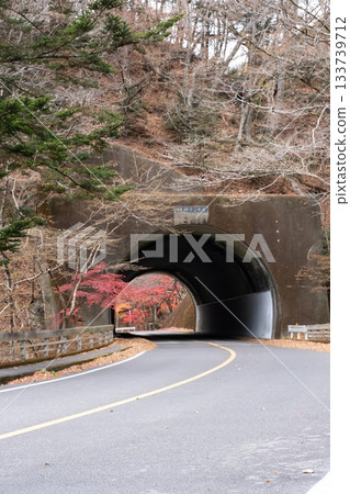 Autumn landscape with a tunnel 133739712