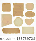 Set of vintage torn paper notes in various shapes Set of vintage torn paper notes in various shapes 133739728
