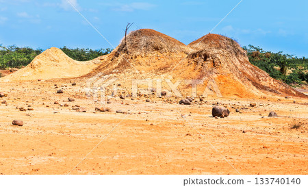 Sarigua National Park near Chitre Panama 133740140