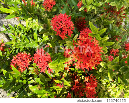 沖繩三段卡 2 沖繩三段卡 2 133740255