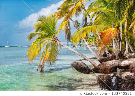 San Blas island in tropical Carrabean Sea in Panama 133740531