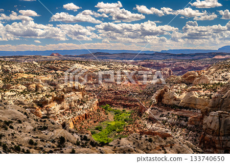 Scenic view of Calf Creek Canyon from Utah State Route 12 in Grand Staircase-Escalante National Monument. Lush green vegetation lines the creek bottom surrounded by sandstone cliffs under a cloudy sky 133740650