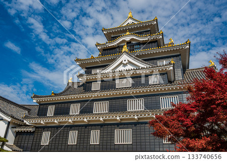 Okayama Castle's outer walls are covered with black clapboards, and it is also known as the Crow Castle. 133740656