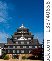 Okayama Castle's outer walls are covered with black clapboards, and it is also known as the Crow Castle. 133740658