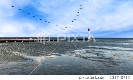 The pier at Port Rowan harbor on Lake Erie in Ontario, Canada. 133740713
