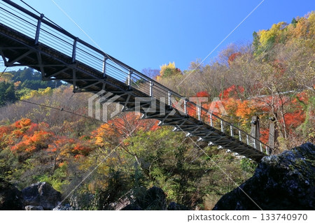 Autumn leaves decorating Akiba Bridge in the Iwaya River Valley (Betsue, Niyodogawa Town, Kochi Prefecture) 133740970