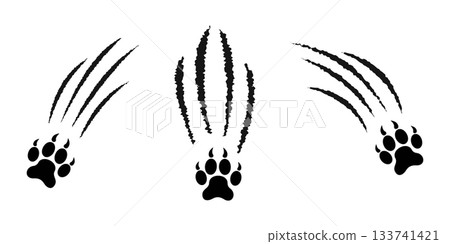 Black paw print with scratch claw marks. Wild mammal animal talons trace isolated on white background. Scars from attack of tiger, wolf, lion or panther. Scary torn scars. Vector graphic illustration 133741421