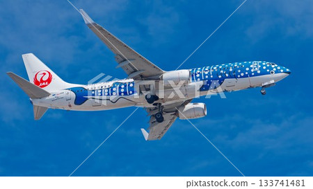 日本越洋航空（JTA）鯨魚噴射機 133741481