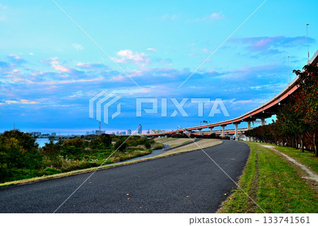 荒川：傍晚時分，五色櫻橋和港北樞紐的景色，秋櫻漸紅。 133741561